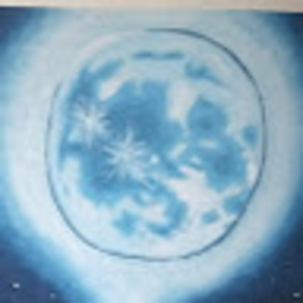 Meet your Posher, Malika